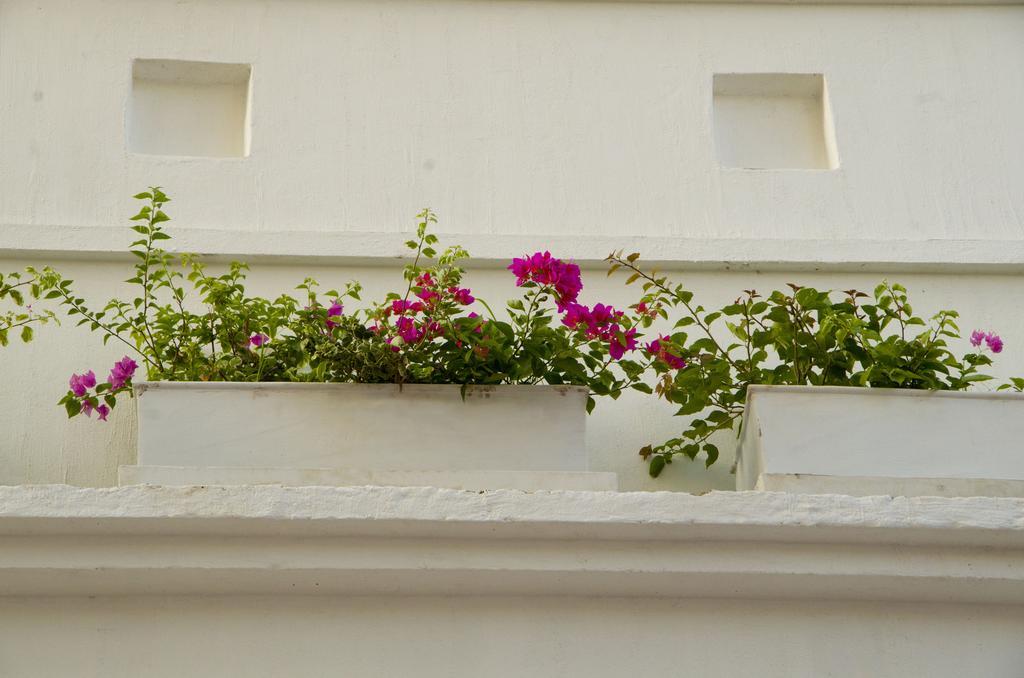La Casa Del Piano Hotel Boutique By Xarm Hotels Santa Marta  Exterior foto